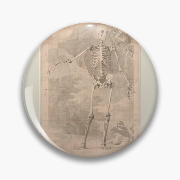 Item preview, Frontal View of the Human Skeleton by Jan Wandelaar designed and sold by Amanda1775.