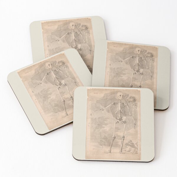 Item preview, Frontal View of the Human Skeleton by Jan Wandelaar designed and sold by Amanda1775.