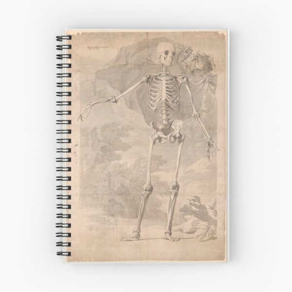 Artikelvorschau, Frontalansicht des menschlichen Skeletts von Jan Wandelaar entworfen und verkauft von Amanda1775.