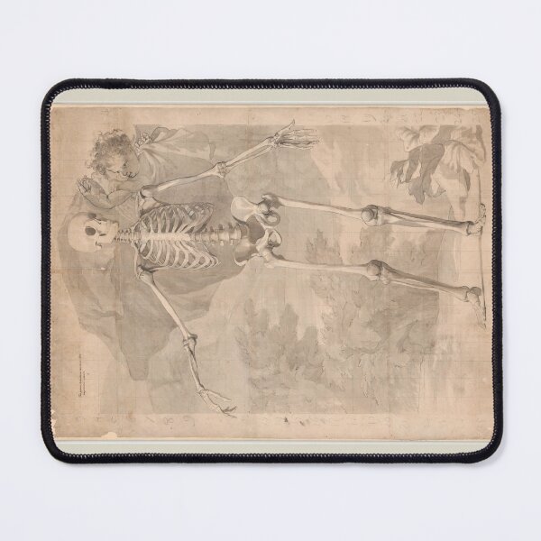 Item preview, Frontal View of the Human Skeleton by Jan Wandelaar designed and sold by Amanda1775.