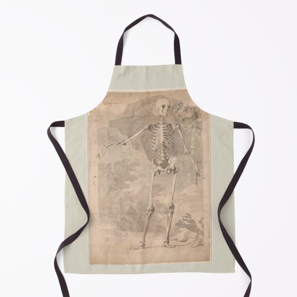 Item preview, Frontal View of the Human Skeleton by Jan Wandelaar designed and sold by Amanda1775.