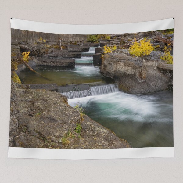 Item preview, Water Descending a Staircase designed and sold by DawsonImages.