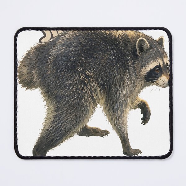 Item preview, Jimothy the Raccoon designed and sold by NeuroBrush.