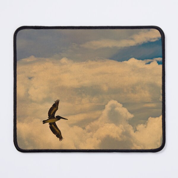 Item preview, Soaring in a Floridian Sky designed and sold by James Hoffman.