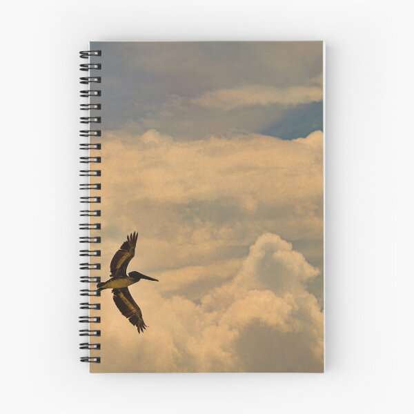 Item preview, Soaring in a Floridian Sky designed and sold by James Hoffman.