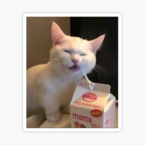 Item preview, Meme Drink Cat designed and sold by PapaKnox.