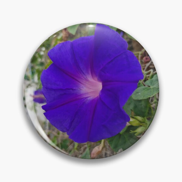 Item preview, summer bloom, morning glory designed and sold by Lunar-Dragon.