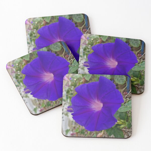 Item preview, summer bloom, morning glory designed and sold by Lunar-Dragon.