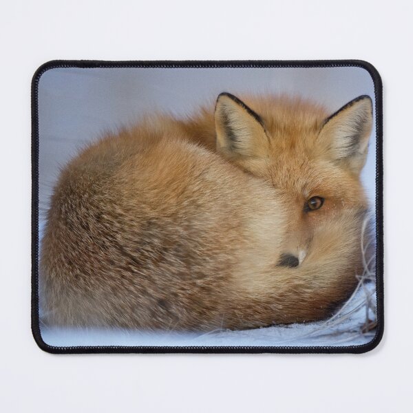 Item preview, Red Fox designed and sold by AlaskaExtreme.