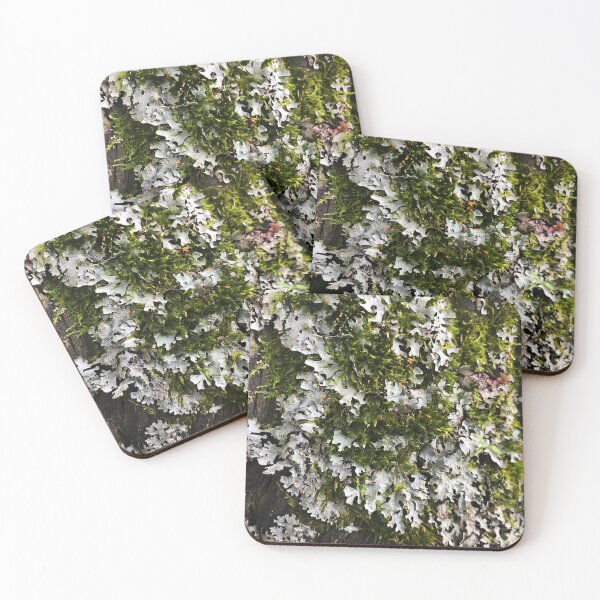Item preview, Lichen and Moss Texture Photo designed and sold by AlaskaExtreme.