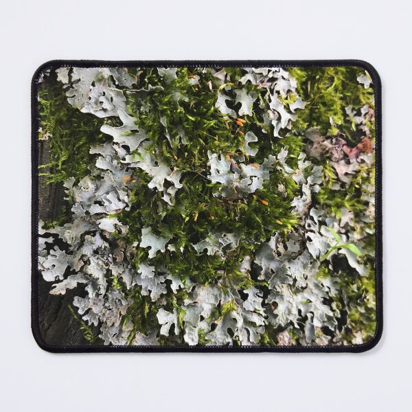 Item preview, Lichen and Moss Texture Photo designed and sold by AlaskaExtreme.