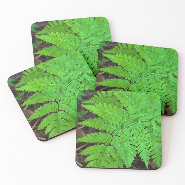 Item preview, Fern Texture Photo designed and sold by AlaskaExtreme.