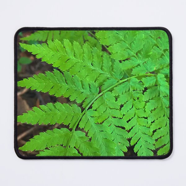 Item preview, Fern Texture Photo designed and sold by AlaskaExtreme.