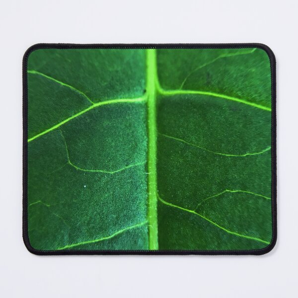 Item preview, Elderberry Leaf Closeup designed and sold by AlaskaExtreme.