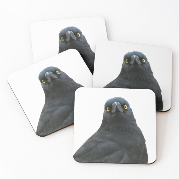 Item preview, Concerned Currawong  designed and sold by Cg-originals-.