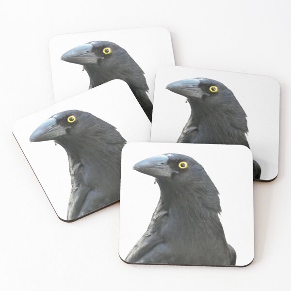 Item preview, Judgemental Currawong designed and sold by Cg-originals-.