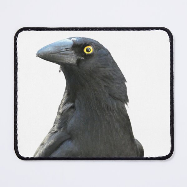 Item preview, Judgemental Currawong designed and sold by Cg-originals-.