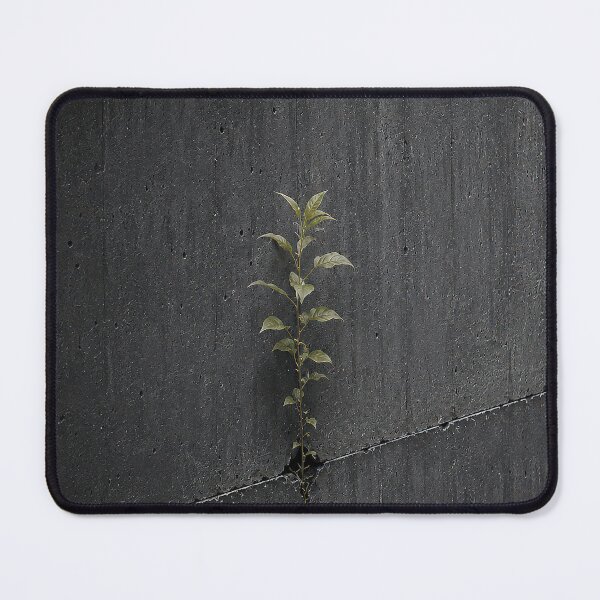 Item preview, Nature Always Returns Brutalist Concrete Wall designed and sold by Saint Arts Studio.