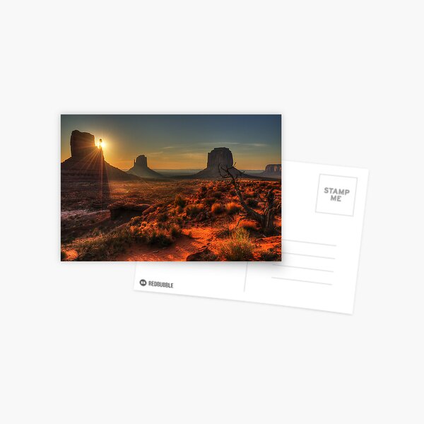 The Touch of Sunlight Postcard
