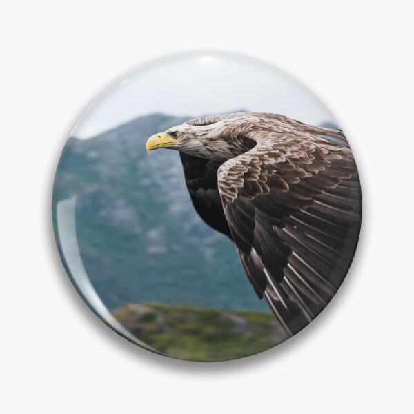 Item preview, Eagle designed and sold by XaviFotografia.