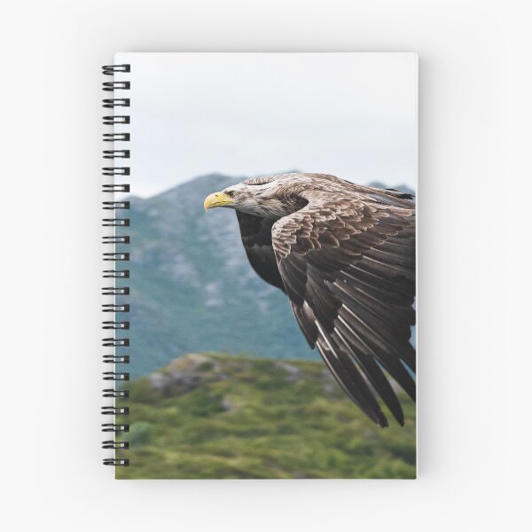 Item preview, Eagle designed and sold by XaviFotografia.
