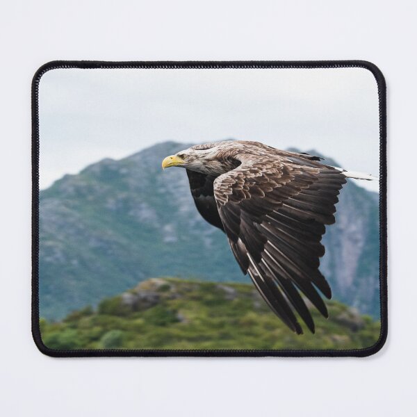 Item preview, Eagle designed and sold by XaviFotografia.