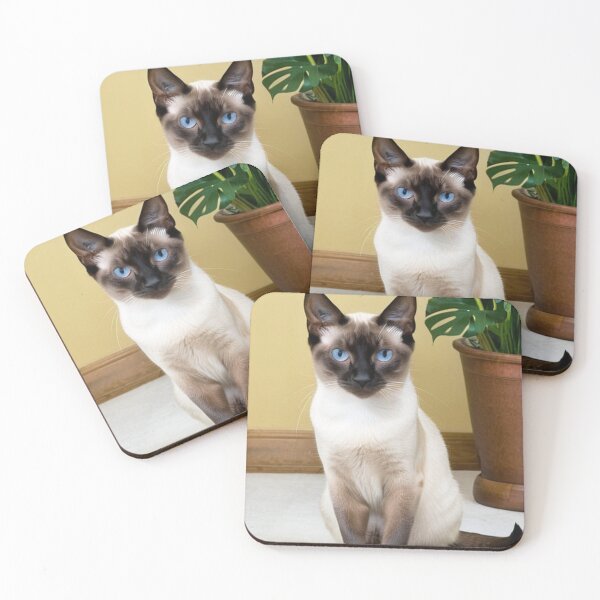 Item preview, Animals - Siamese Cat, Zen Portrait with Intense Blue Eyes designed and sold by World-Pets.