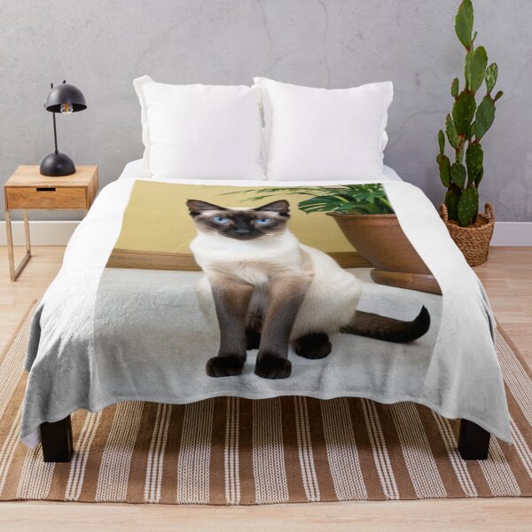 Item preview, Animals - Siamese Cat, Zen Portrait with Intense Blue Eyes designed and sold by World-Pets.