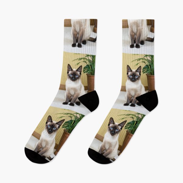 Item preview, Animals - Siamese Cat, Zen Portrait with Intense Blue Eyes designed and sold by World-Pets.