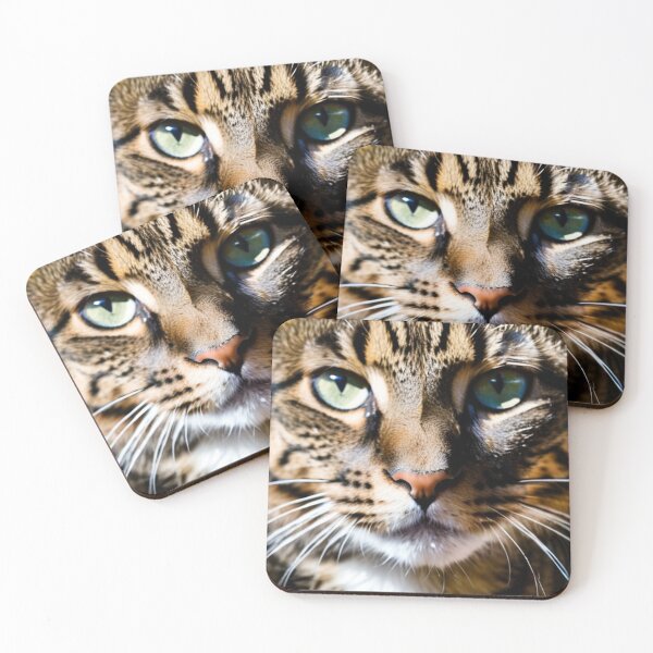 Item preview, Animals - Tabby Cat Portrait, Captivating Blue-Green Eyes designed and sold by World-Pets.