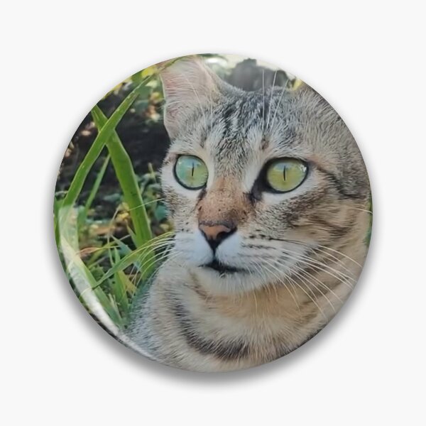 Item preview, Cute Tabby Cat in Nature designed and sold by Mittal-Designs.