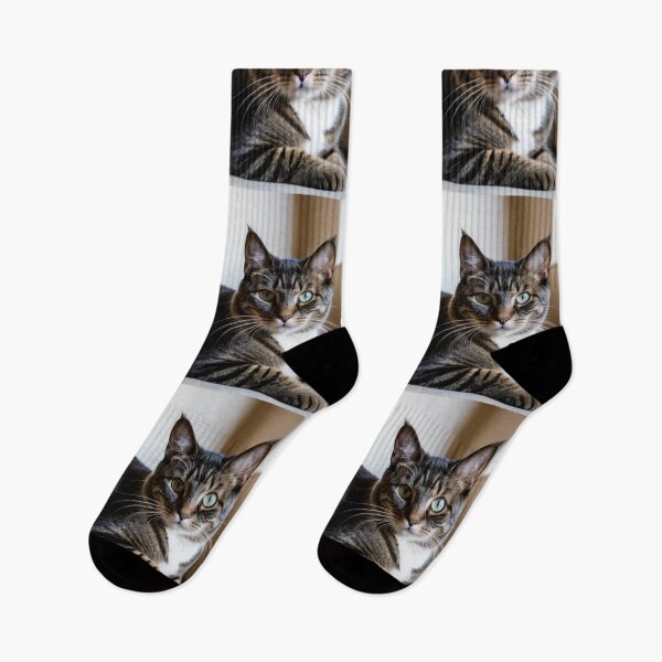 Item preview, Animals - Tabby Cat with Blue-Green Eyes, Expressive Feline Portrait designed and sold by World-Pets.