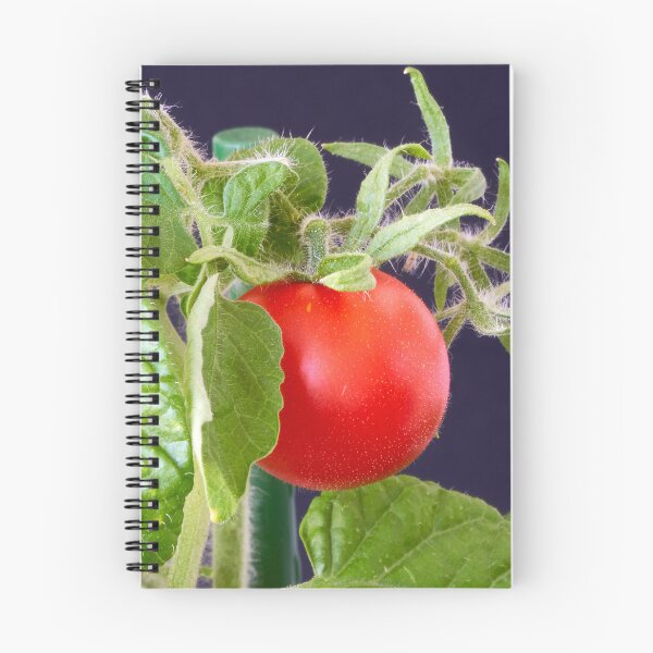 Item preview, a red tomato designed and sold by IgorKovalenko.