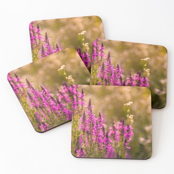 Item preview, Golden Hour Wildflowers designed and sold by Rabee Khalil Photography.