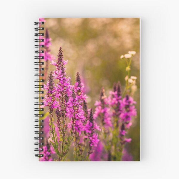 Item preview, Golden Hour Wildflowers designed and sold by Rabee Khalil Photography.