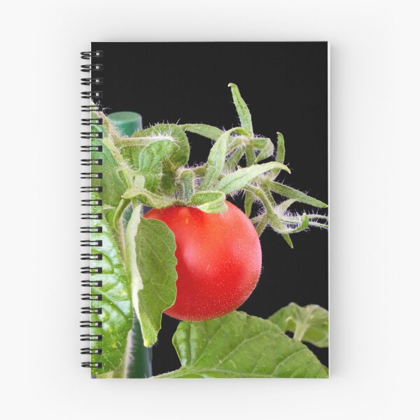 Item preview, a red tomato designed and sold by IgorKovalenko.