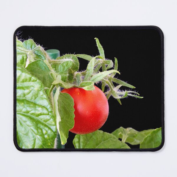 Artikelvorschau, eine rote Tomate entworfen und verkauft von IgorKovalenko.