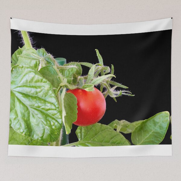 Item preview, a red tomato designed and sold by IgorKovalenko.