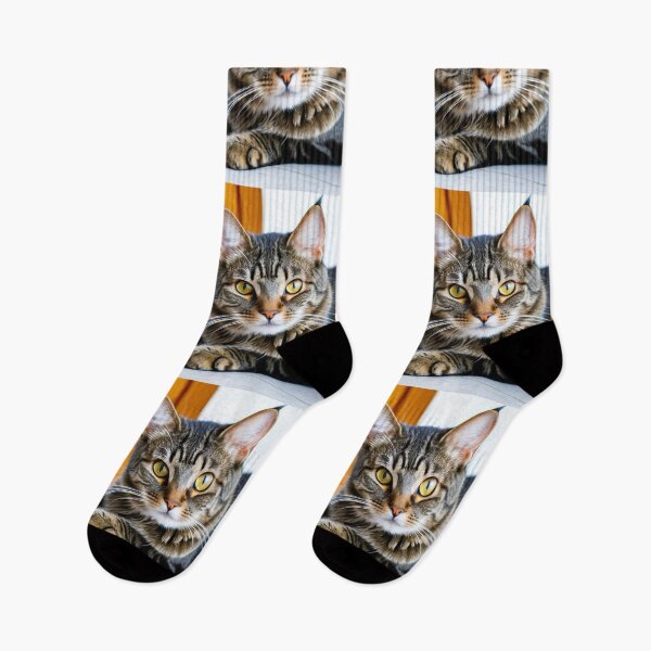 Item preview, Animals - Tabby Cat, Feline Portrait with Golden Gaze designed and sold by World-Pets.