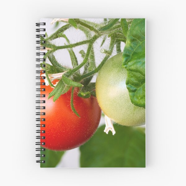 Item preview, A red tomato grows on a green bush designed and sold by IgorKovalenko.