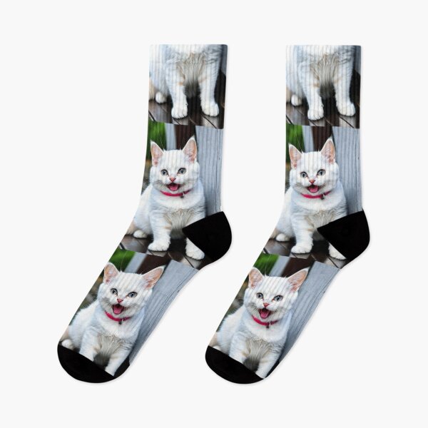 Item preview, Animals - White Cat with Blue Eyes, Cute and Expressive Portrait designed and sold by World-Pets.