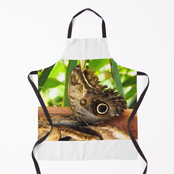 Item preview, Unusual butterfly markings designed and sold by WildWhiskersCo.
