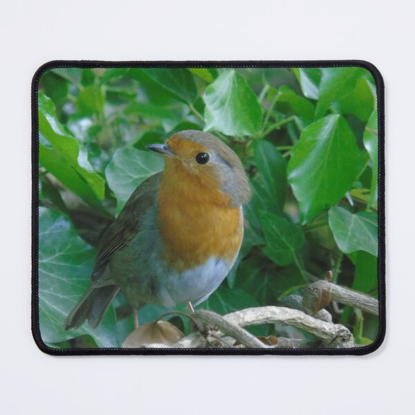 Item preview, Robin designed and sold by Marie Clapton.