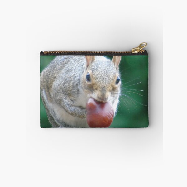 Item preview, Squirrel designed and sold by Marie Clapton.