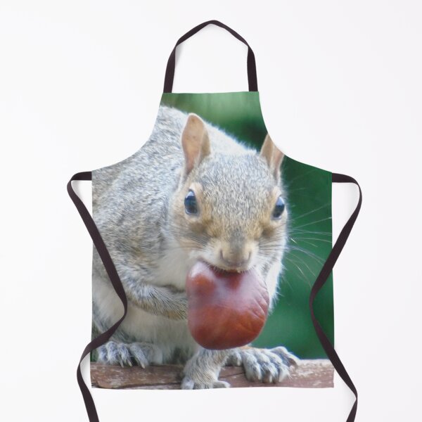 Item preview, Squirrel designed and sold by Marie Clapton.