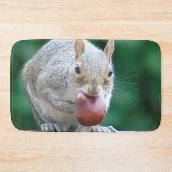 Item preview, Squirrel designed and sold by Marie Clapton.
