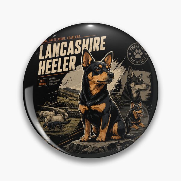 Item preview, Lancashire Heeler Working Dog Heritage Illustration designed and sold by Abidel.
