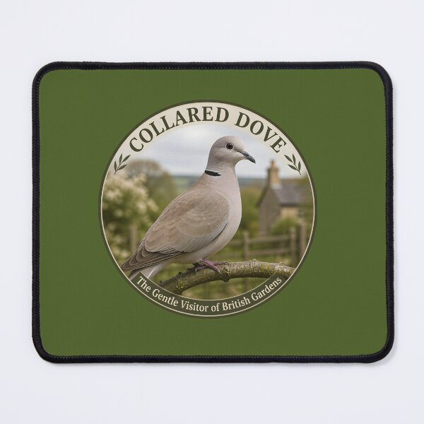 Item preview, COLLARED DOVE – The Gentle Visitor of British Gardens designed and sold by The Digital Compass.