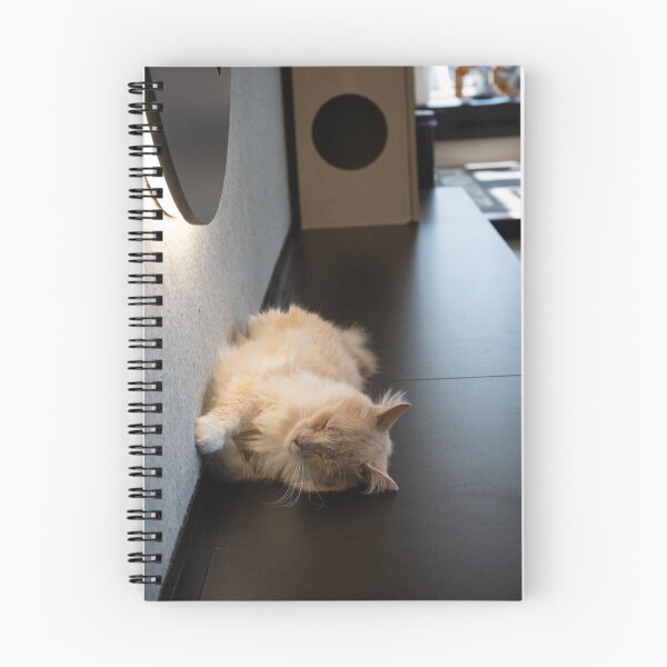 Item preview, Sleeping Cat at Mon Ami Cat Café designed and sold by BadWolfStudios.