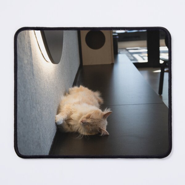 Item preview, Sleeping Cat at Mon Ami Cat Café designed and sold by BadWolfStudios.